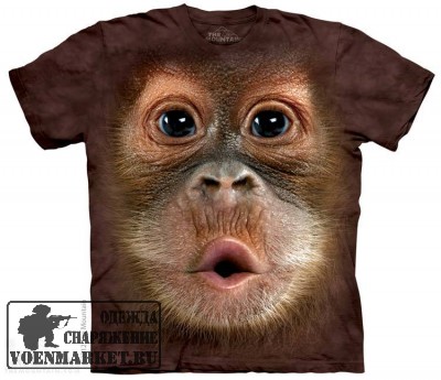  Mountain Big Face Baby Orangutan (), *S