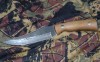 Нож Кизляр Клык-2 сталь Z60, полированный с орнаментом, ручка кавказский орех, чехол Кожа
